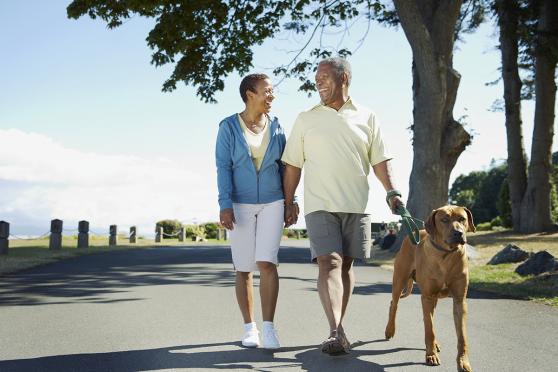 An elder couple walks a dog in a park